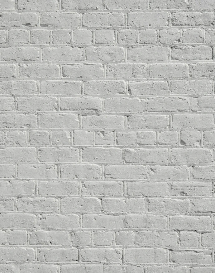 A wall of rectangular bricks painted in a uniform matte white